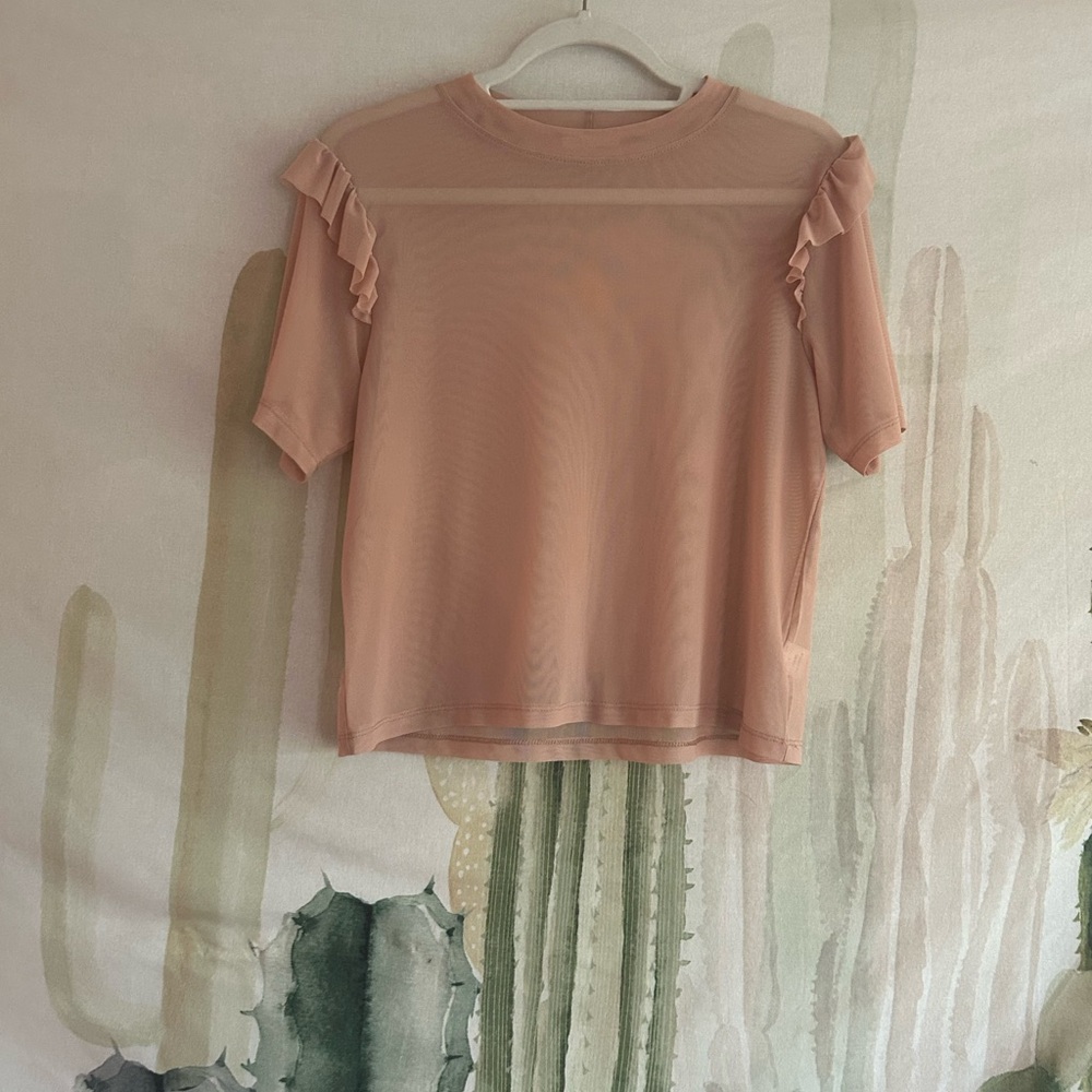 Cotton Candy LA Ruffled Sleeve Sheer Blush Top
